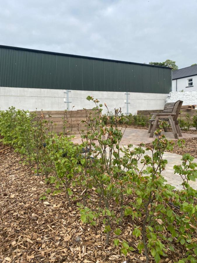Ballymullock Barn Lofts Carncastle Bagian luar foto